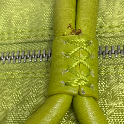 * Bolso Christian Dior Diorissimo Trotter Verde.