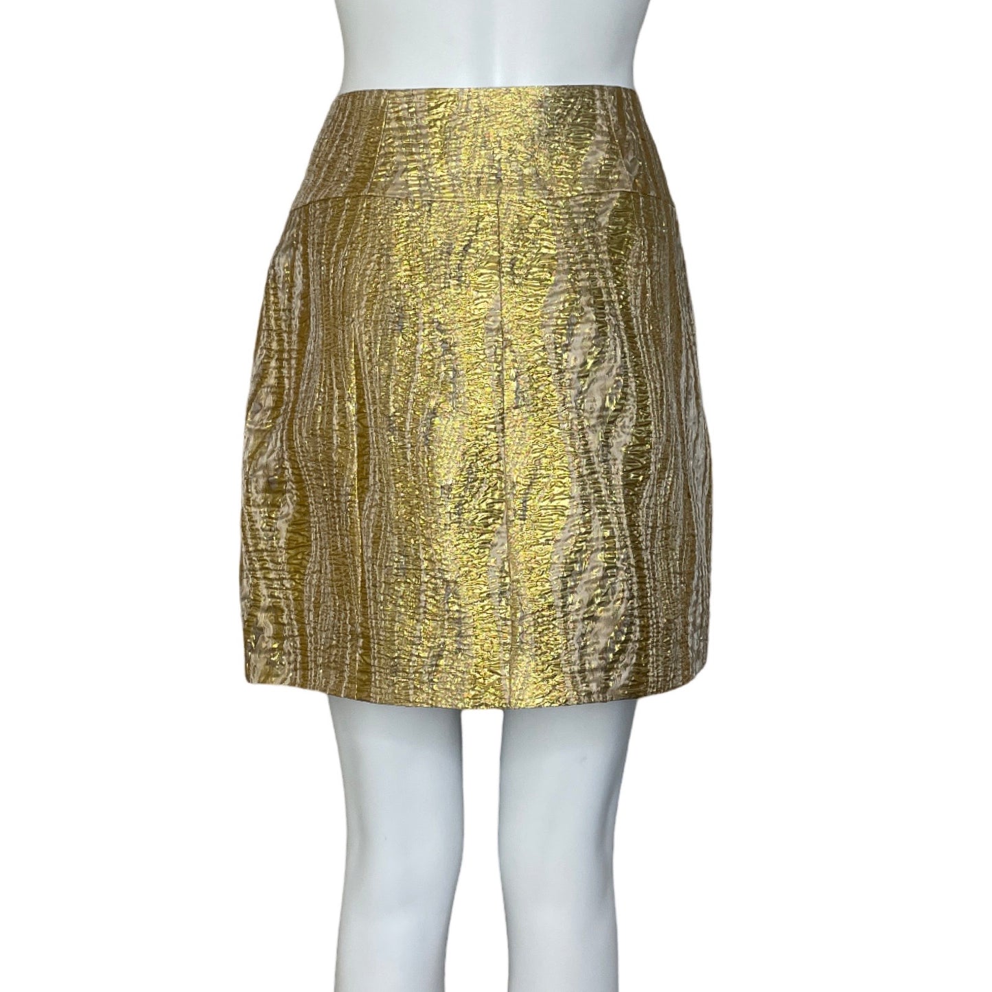 Falda BCBG Ziper Dorado Talla-M