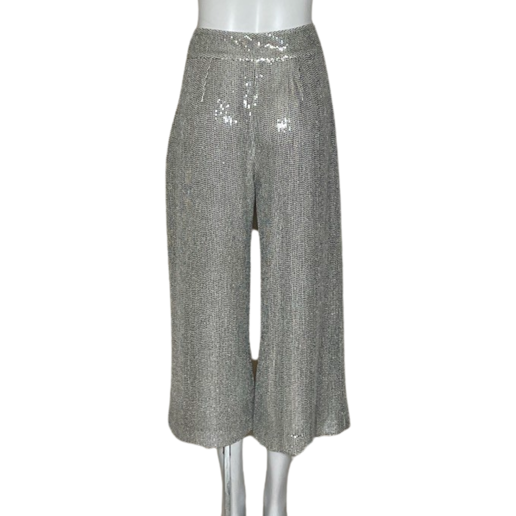 Pantalon Zara Lentejuelas Plateado Talla S The Preloved Shop