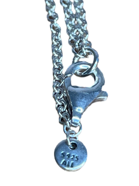 Set Pandora Circulos Plateado-Talla U