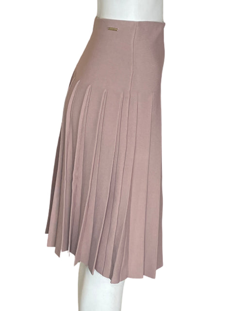 Falda Apparalel Plisado Liso Midi Rosado - Talla L