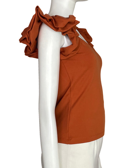 Blusa Padova Estilizada Mangas sisa Marrón - Talla S